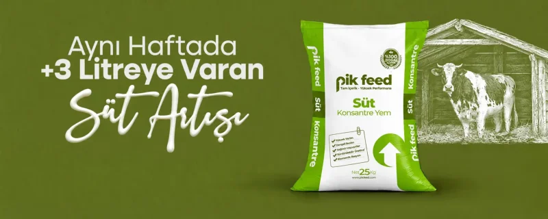 Konsantre Yem Grubu