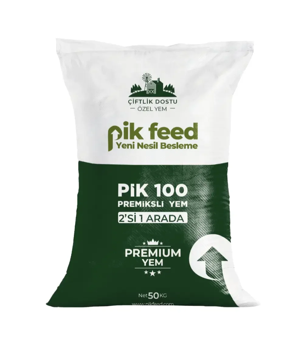 Pik 100